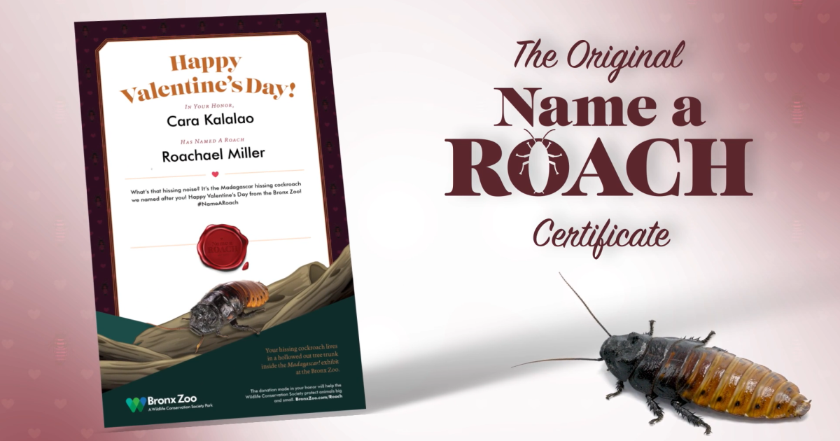 No.180 ローチェ ROACH祭り٩(ˊωˋ*)و ೨*˚ Giant Cockroach · Ninth Edition (9ED) #133 · Scryfall Magic